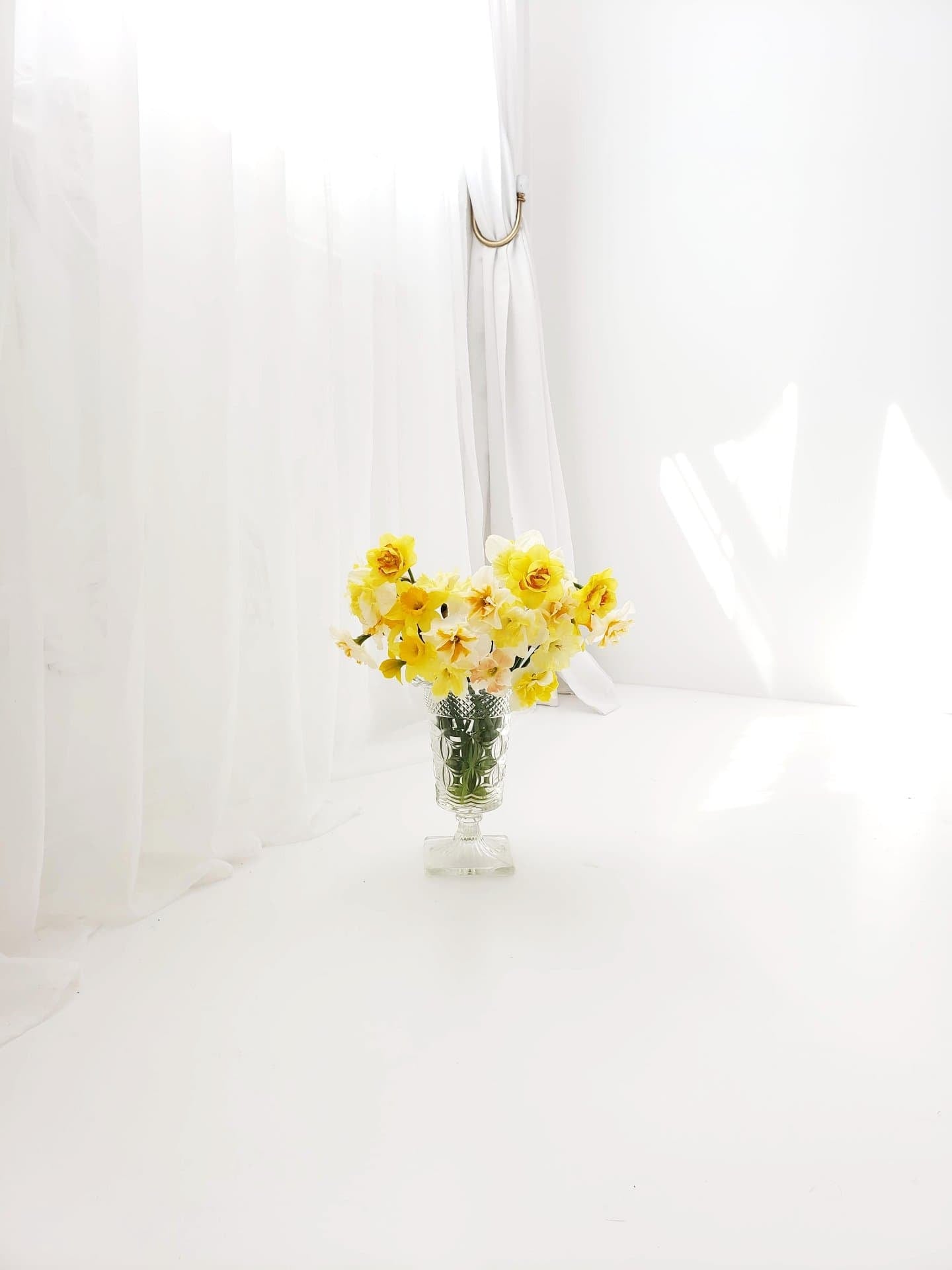 Unique Daffodil 15 Stem Bouquet